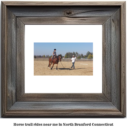 horse trail rides near me in North Branford, Connecticut